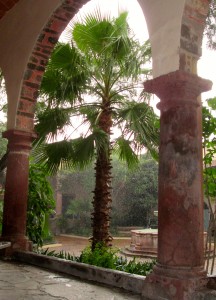 A view of the courtyard at the Instituto de Allende in the rain