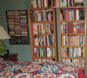 bookcases -- full
