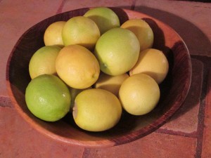 bowl of lemons -- SMA