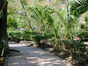 BEAUTY: on a tranquil walk in Parque Juarez
