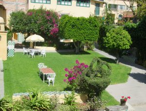 A partial view of the courtyard/garden at my apartment complex in SMA
