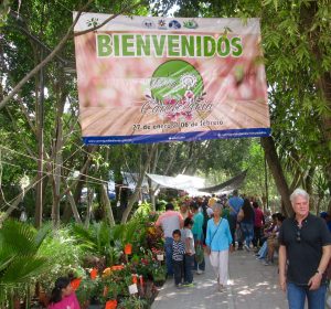 The main entrance to the Candelaria Fair in Parque Juarez 